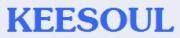 Keesoul Electronics Company Ltd