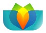 Shenzhen Demar Electronic Co., Ltd.