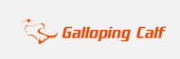 Shenzhen Gallopingcalf Technology Co., Ltd