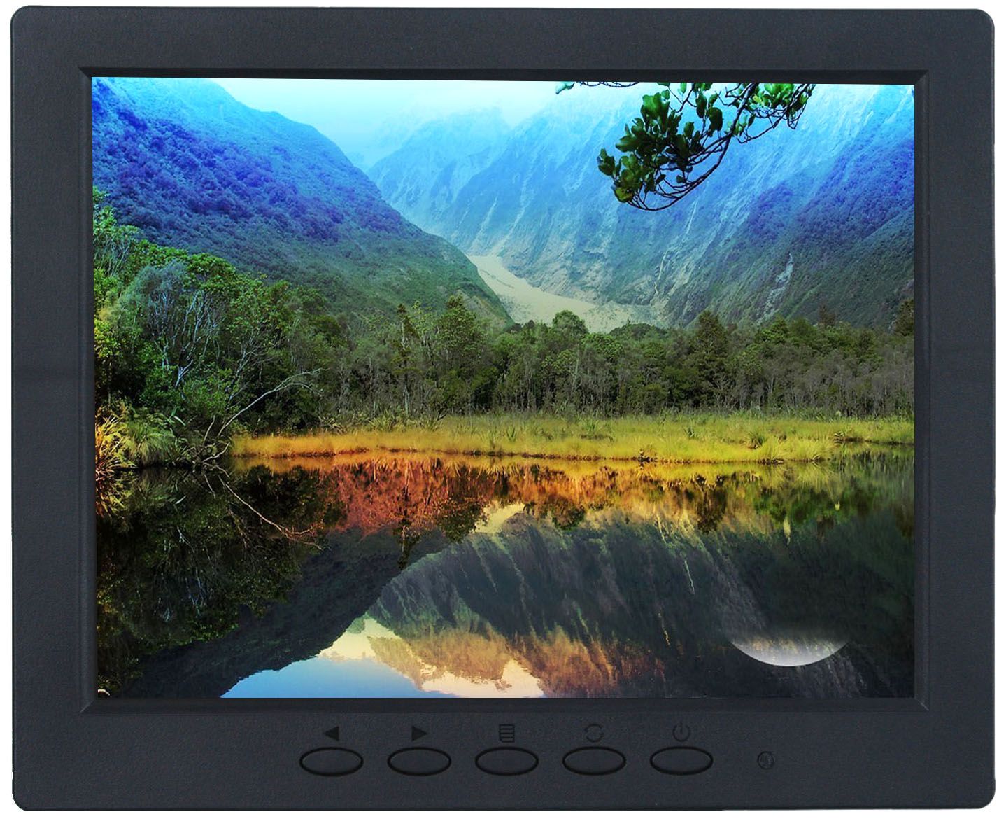 8 Inch Micrsocope Video Display