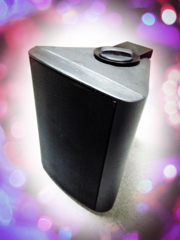 Professional Audio Mini Speaker