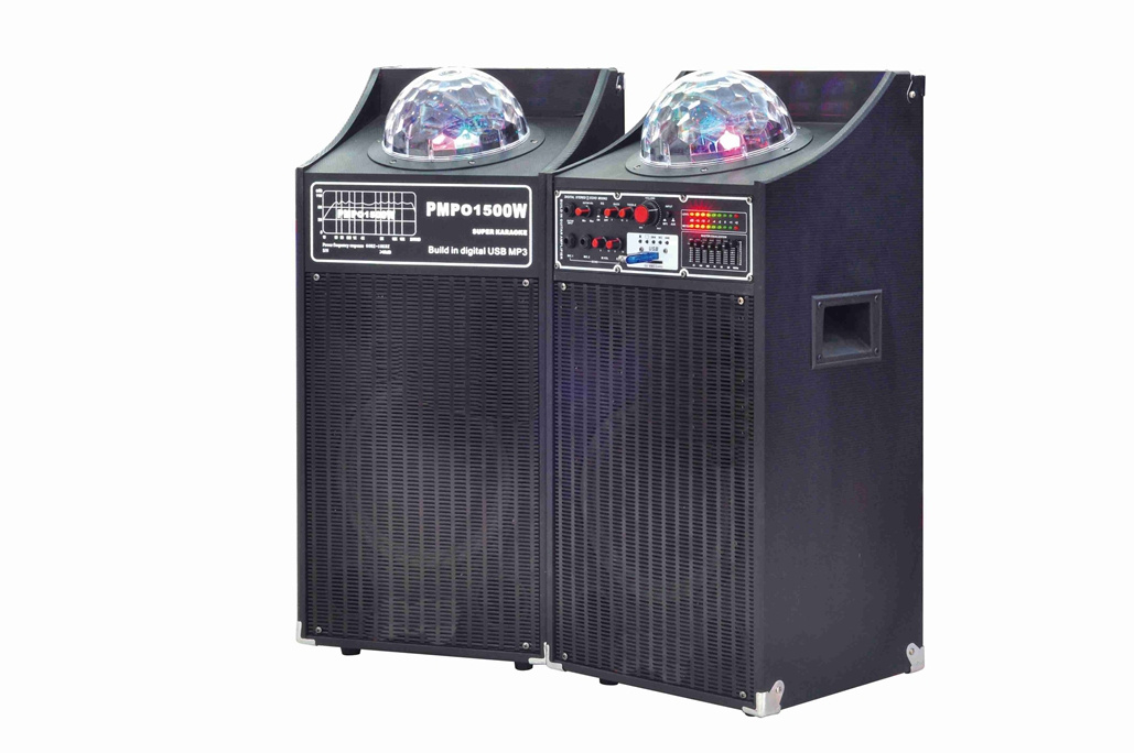 2.0 Active Professional Speaker 6007