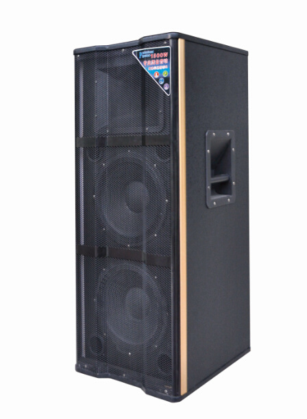 Bluetooth Professional Wireless DJ Speaker E230