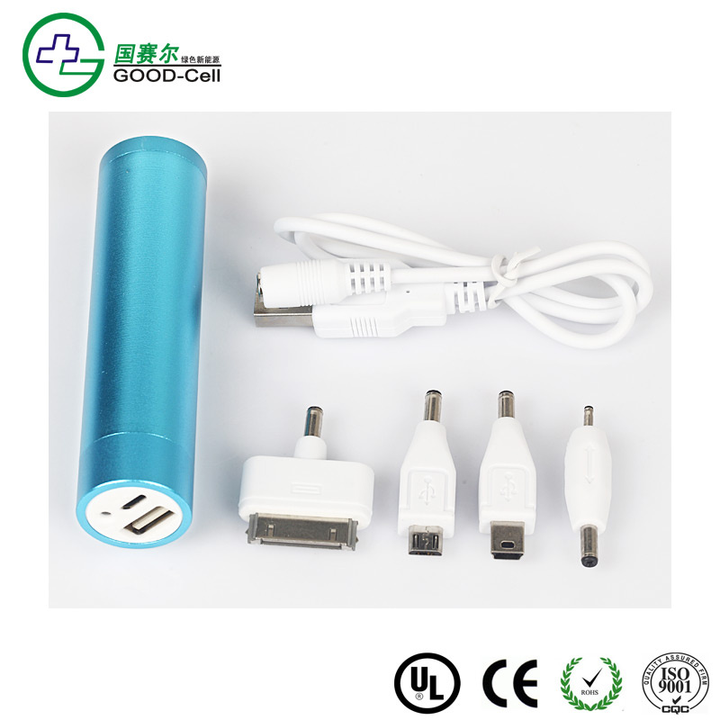Potable Battery Charger