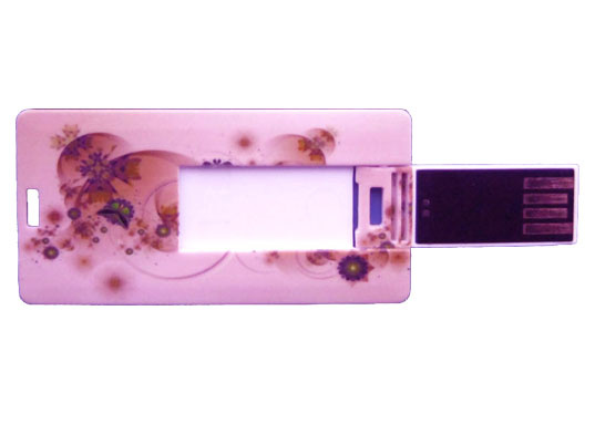 Card USB Flash Drive