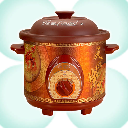 Slow Cooker (DFTZ A Series)