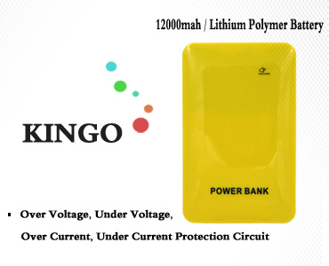 High Capacity Power Bank