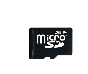2GB Micro SD Card