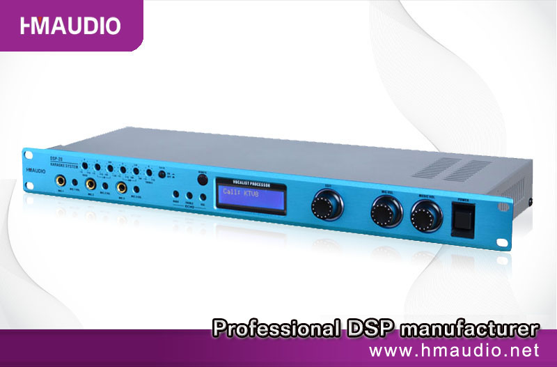 Professional Audio (DSP-20)