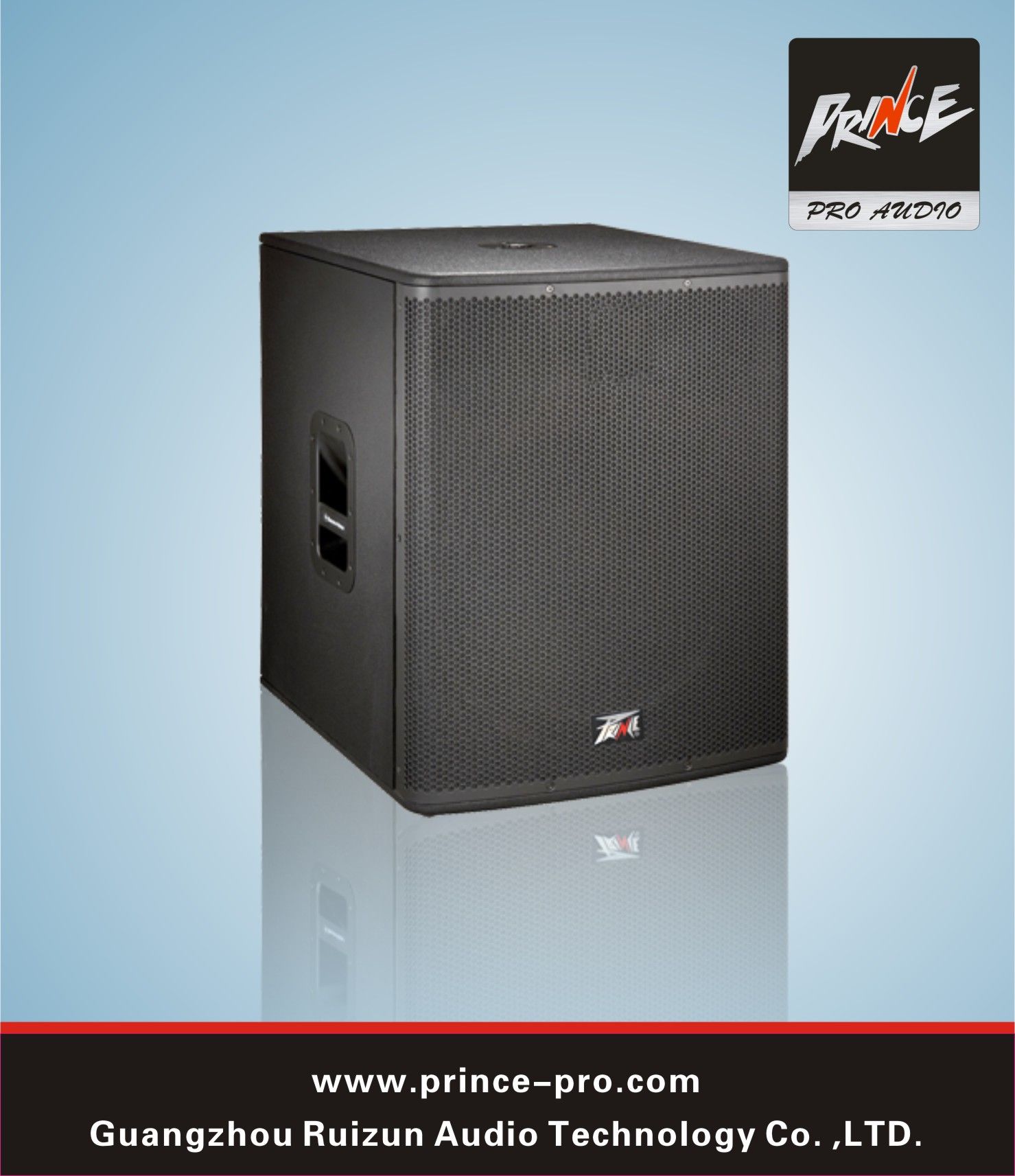 PRO Audio Subwoofer for Showing and Stage