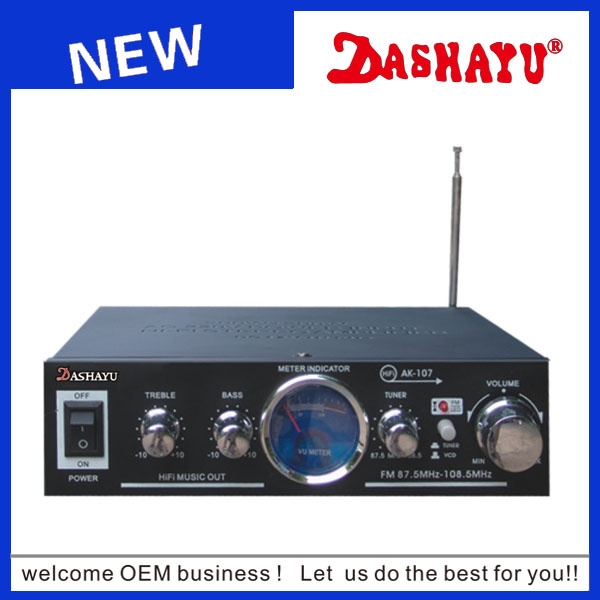 12V Subwoofer Amplifier 12V Mini Car Amplifier