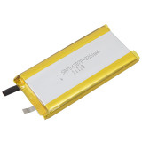 Lithium Polymer Battery