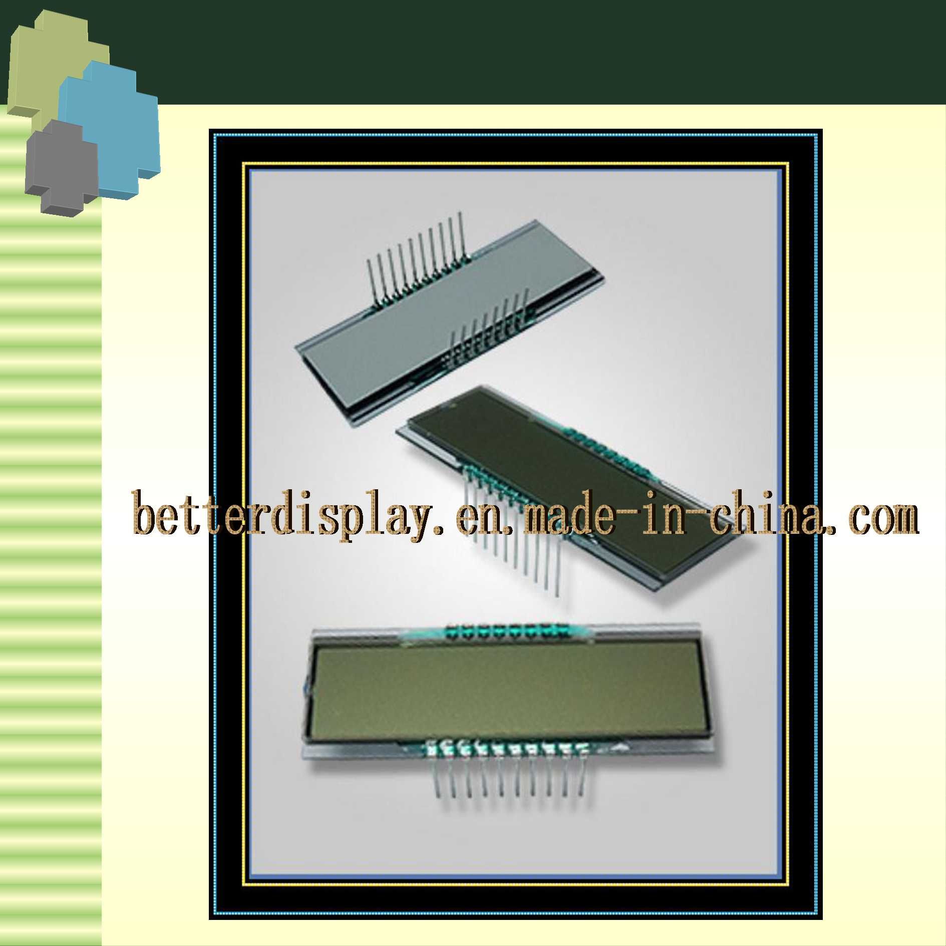 Customizable LCD Graphics Screen LCD Display for Different Countries