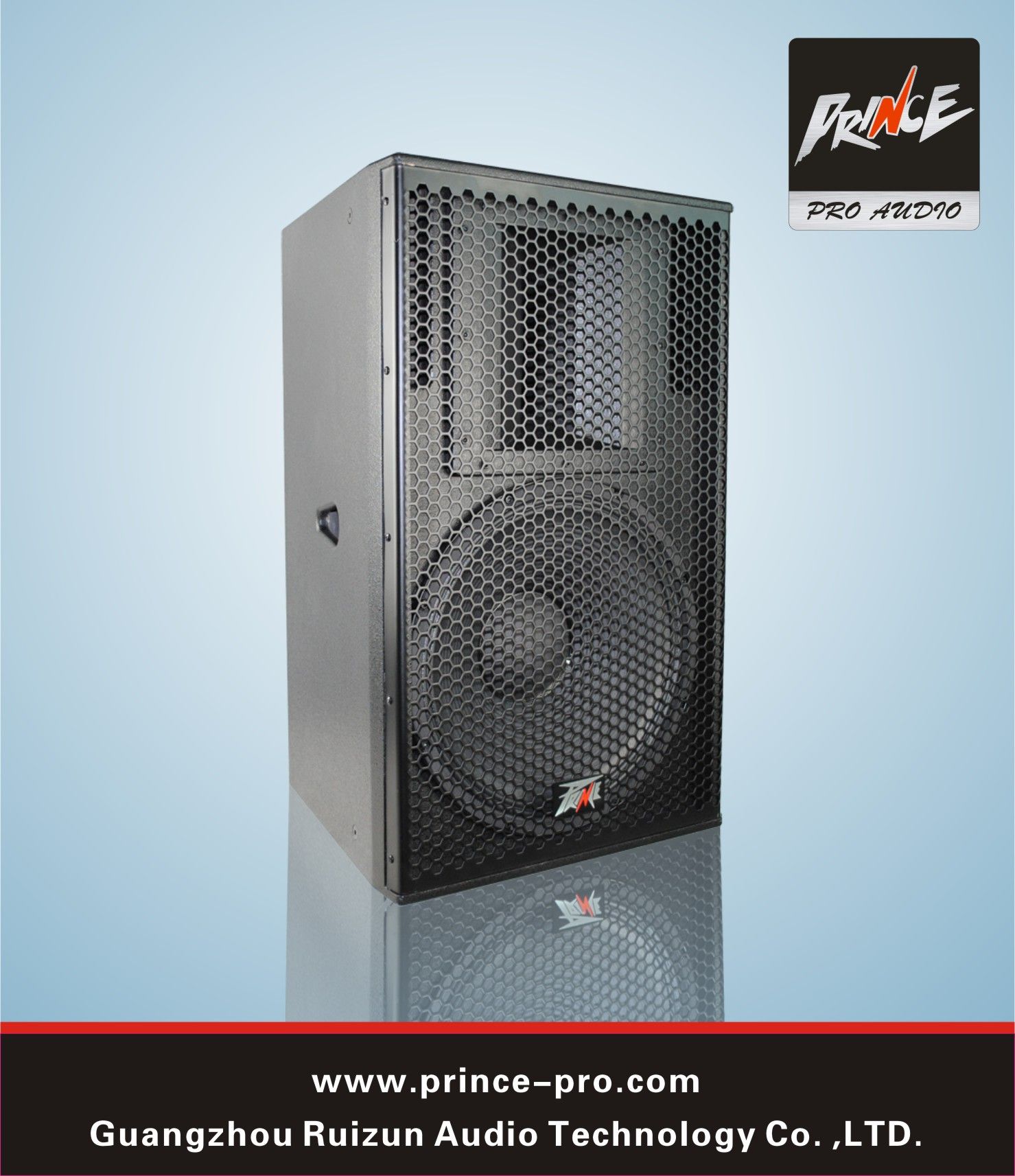 Single 15inch PRO Audio System