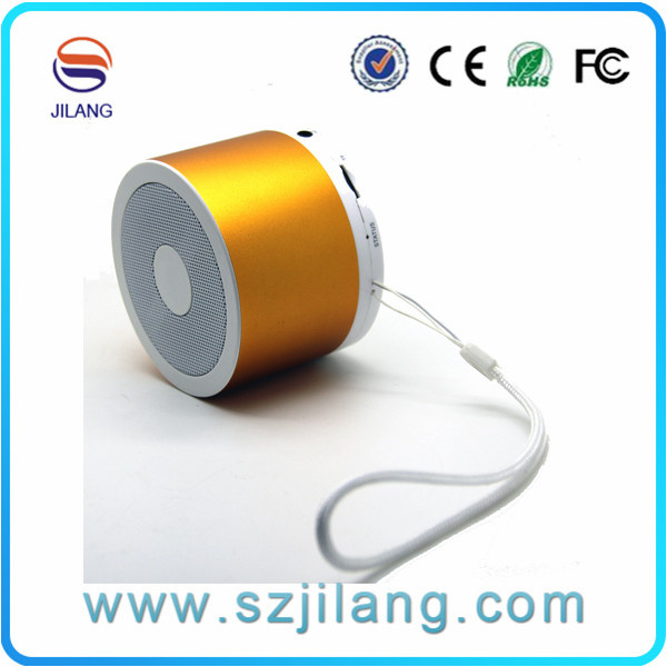 Mini Wireless Bluetooth Speaker with FM Radio