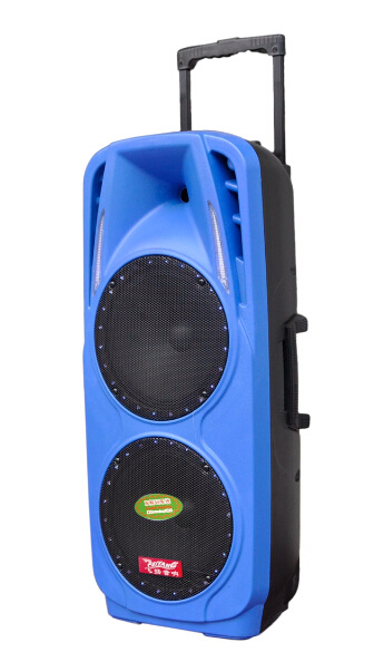 Protable Speaker Hot Sale Promoting Double 10