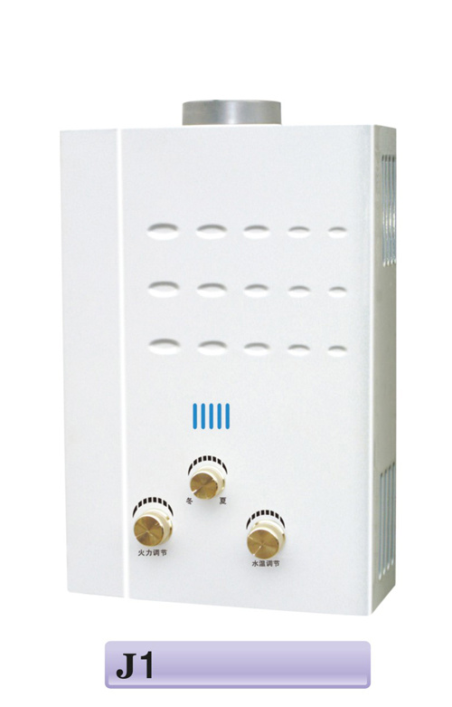 5L Tankless Duct Flue Gas Water Heater - (JSD-J1)