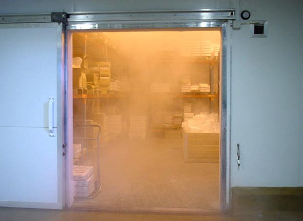 Deep Freezing Cold Room for Meat