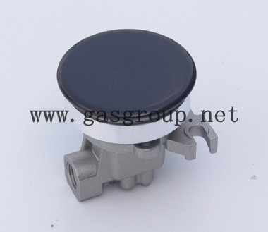 Auxiliary Burner