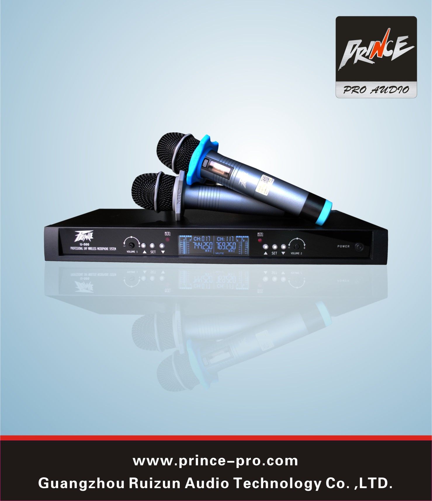 Professional Wireless Microphone