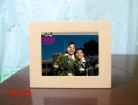 Digital Photo Frame DPF8801