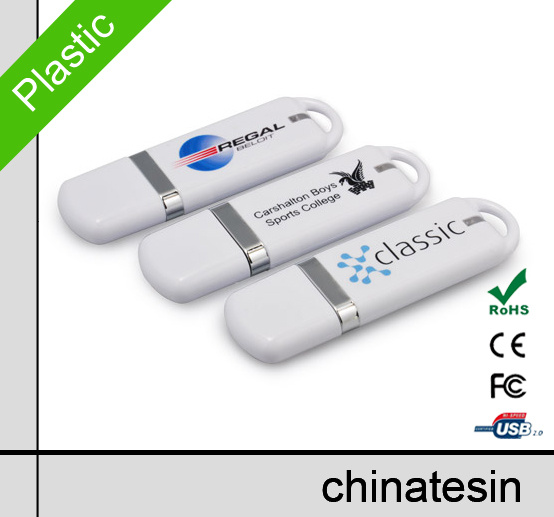 Plastic USB Flash Drive E029