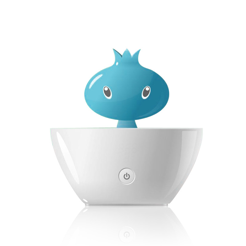 Anion Humidifier