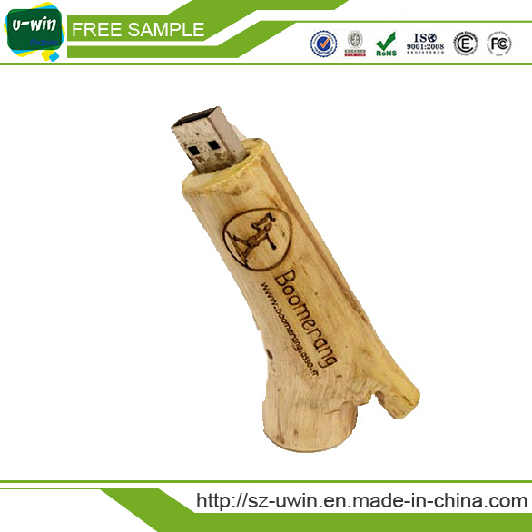 Promoting USB Drive Customized USB Flash Drive