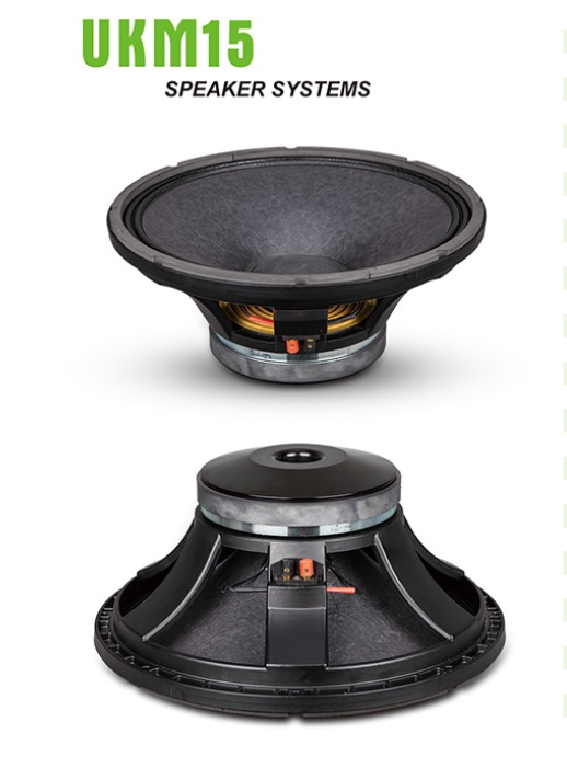 DJ Speaker Subwoofer Ukm15