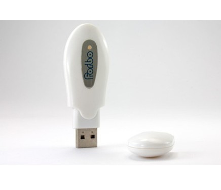 Plastic USB Flash Drive (NS-617)