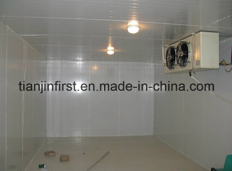 Cold Storage Walk in Refrigerator, Freezer