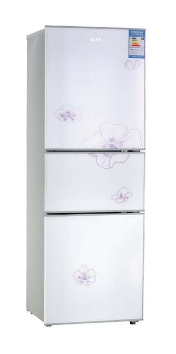 Three -Door Electric International Refrigerator