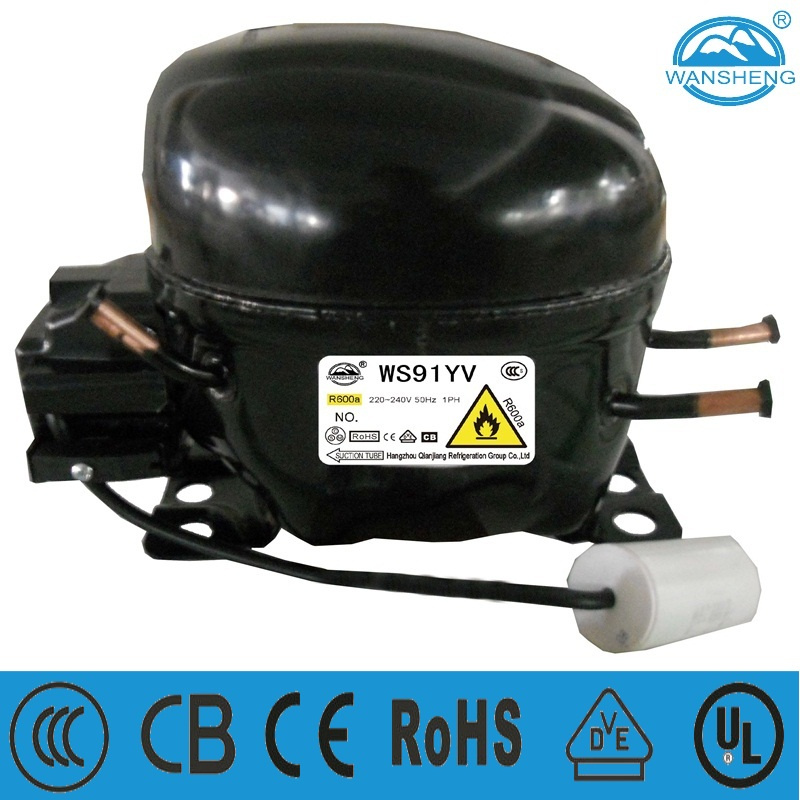 R600A Ice Maker Compressor Ws91yv
