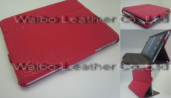 iPad Case / Covers