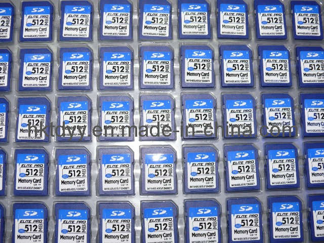 SD Memory Care (Memory card-1062)