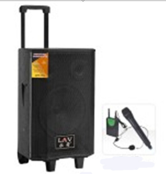 Portable Speaker with Microphone for Background Music