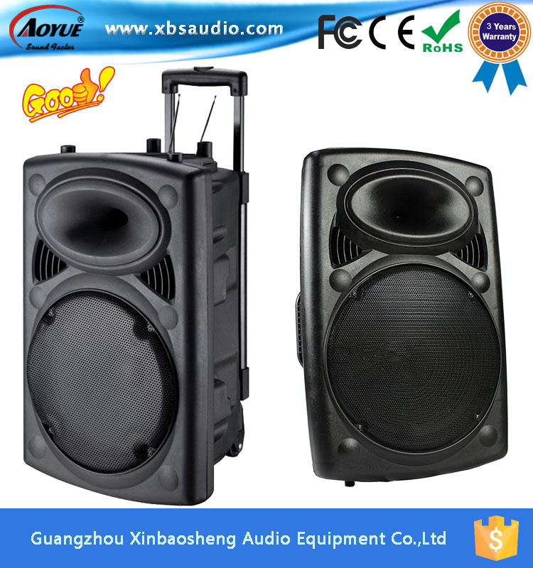 ODM Powerful Trolley Active Speaker with Rechargeable Battery