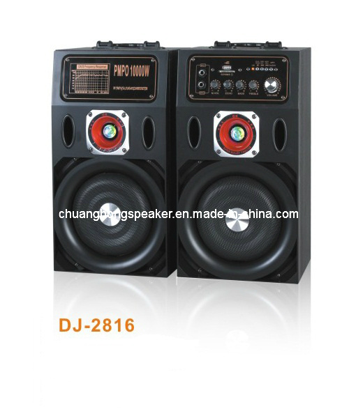 Good Price Professional Active Speaker with USB/SD/Mic (DJ-2816)