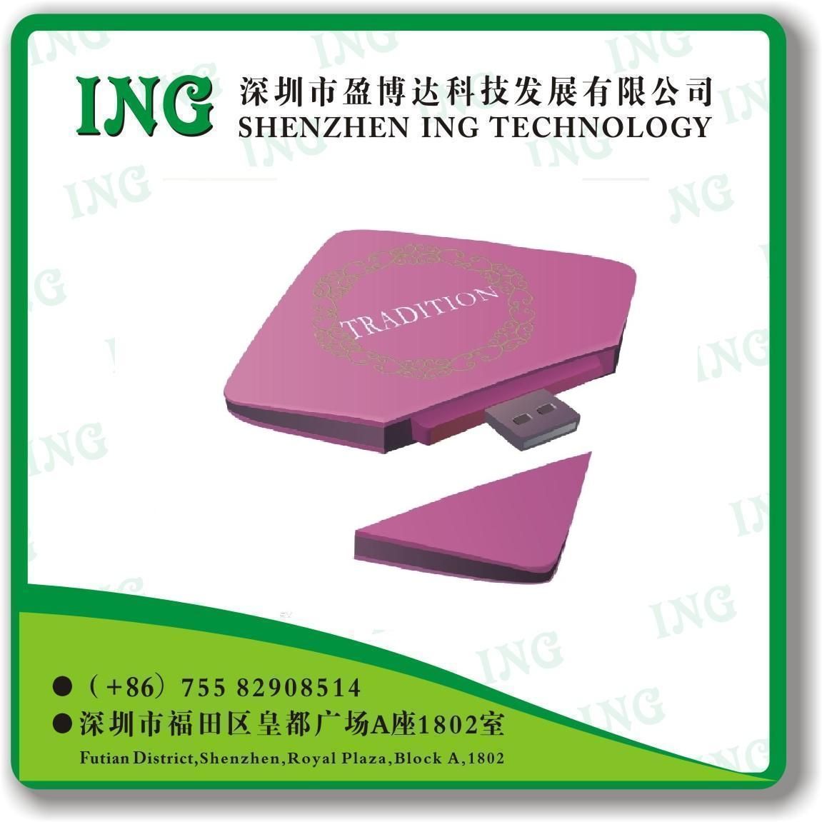 Gift USB /USB Flash Disk/Novel USB Drive