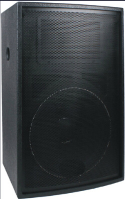 450W Professional Stage Speaker (T12)