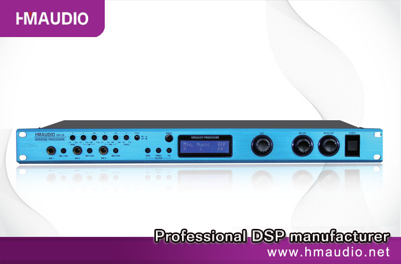 Professional Audio (DSP-20)