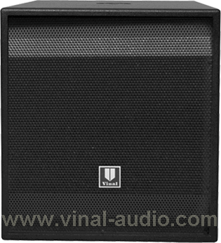Professional Speaker (VS0508L)