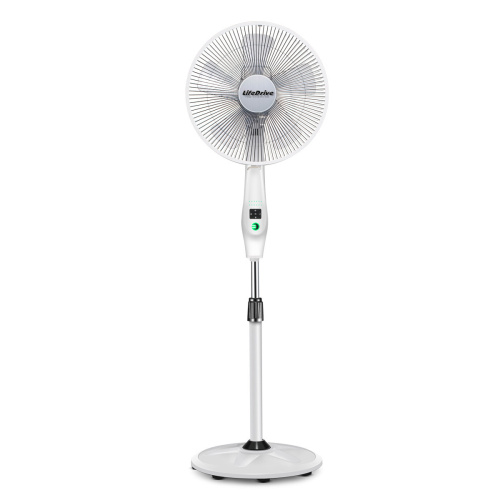 Bl DC Motor Fan