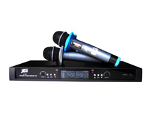 Professional Wireless Microphone U500
