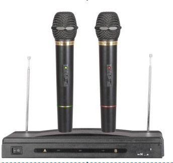 Wire & Wireless Microphone (EGM306W) Good Quality