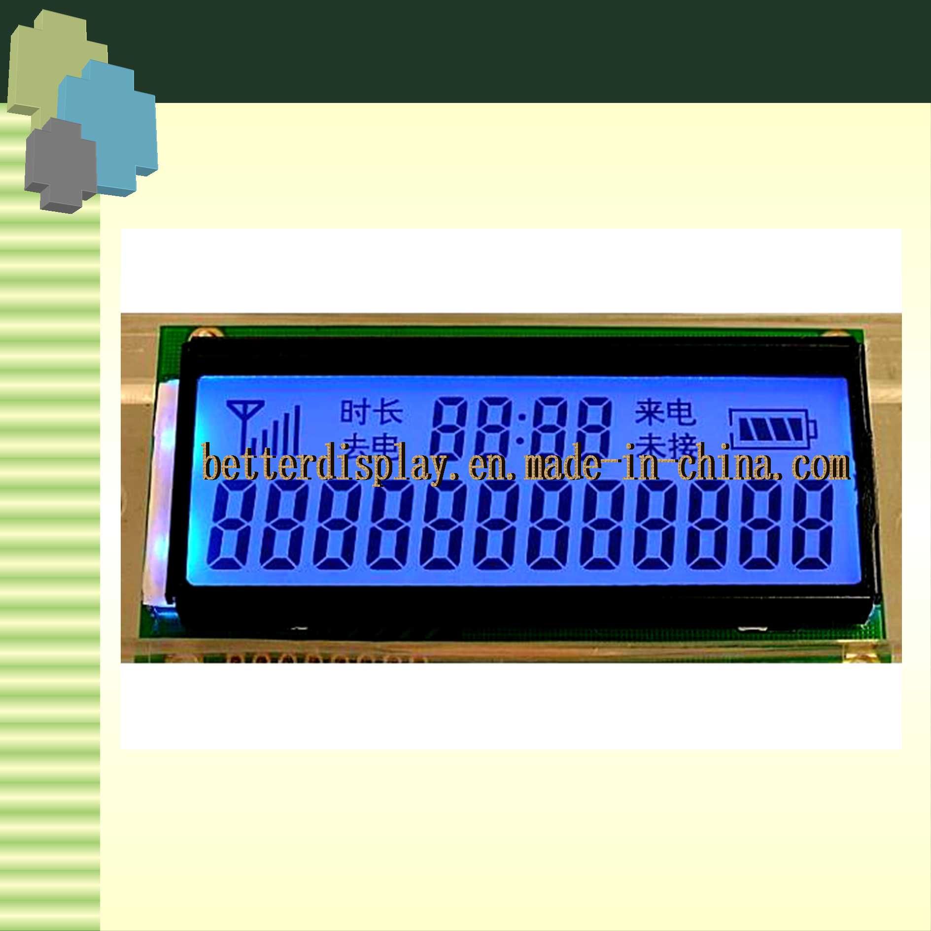 Custom-Made Monochrome LCD Display Module LCD Screen
