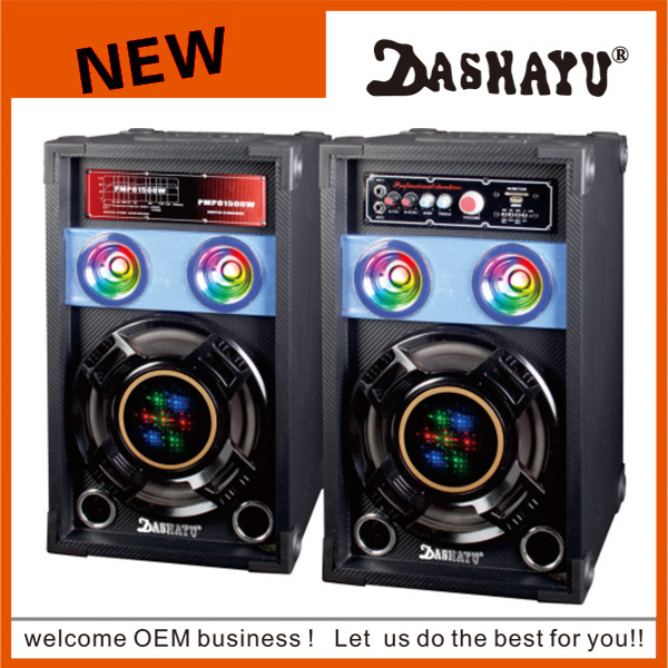 Xd10-13 150W 2.0 Hifi 10inch Audio Speakers
