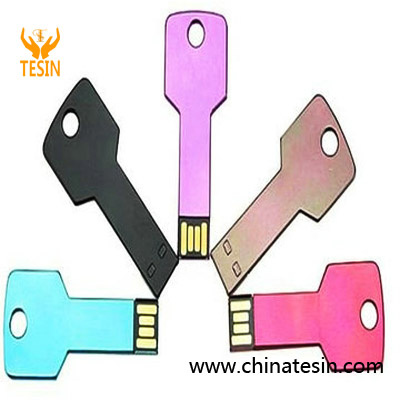 Key USB Flash Drive