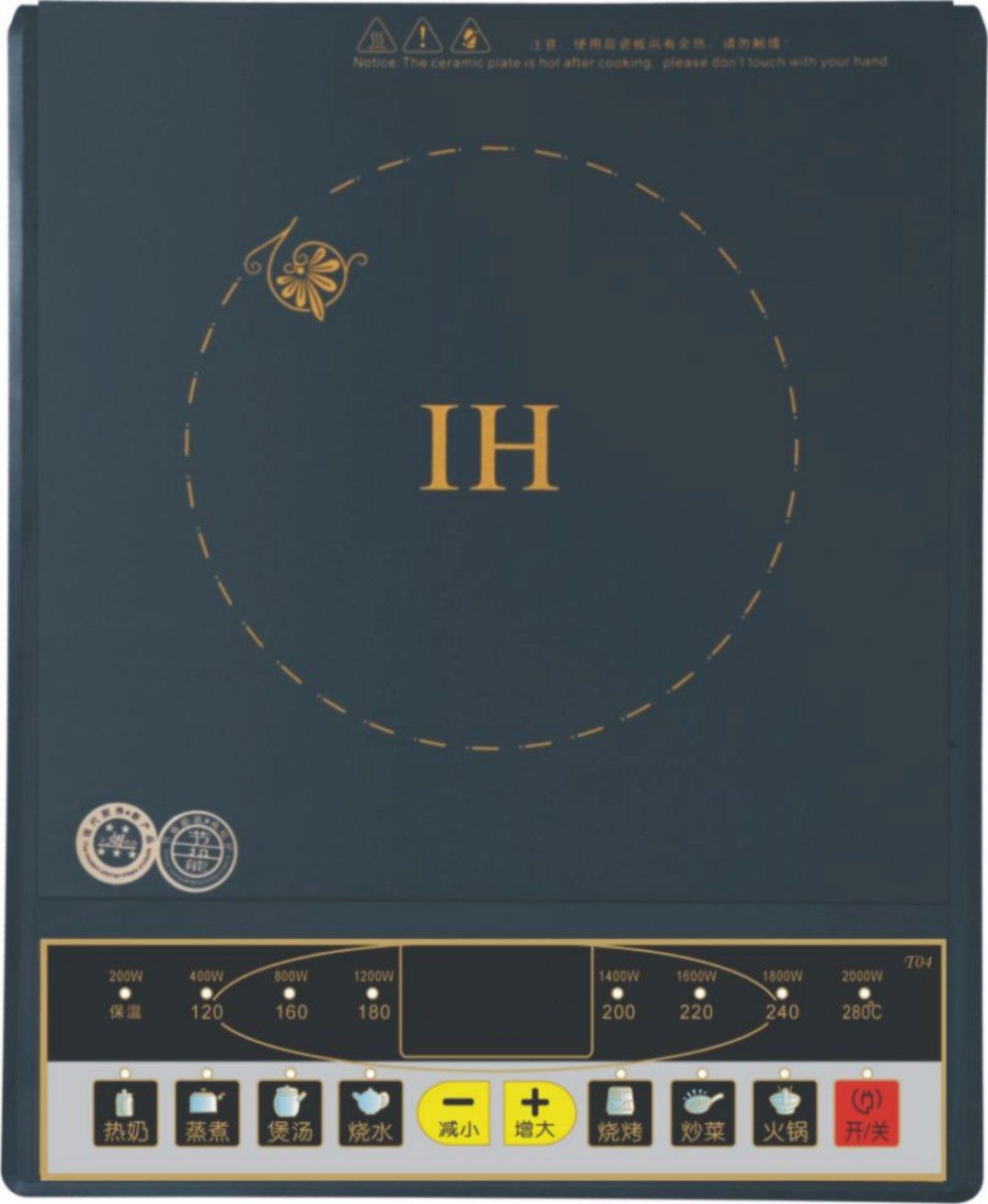 Induction Cooker