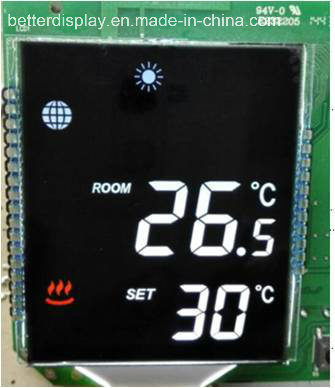 Customerized Monochrome Small Size LCD Screen Display